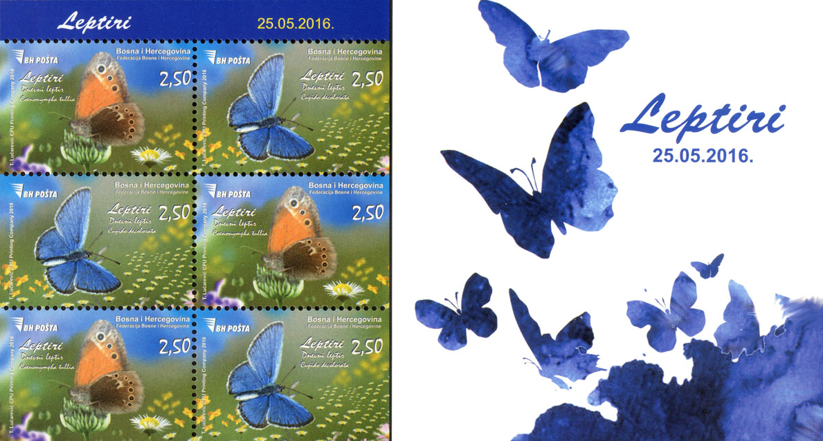 carnet-fauna---butterflies
